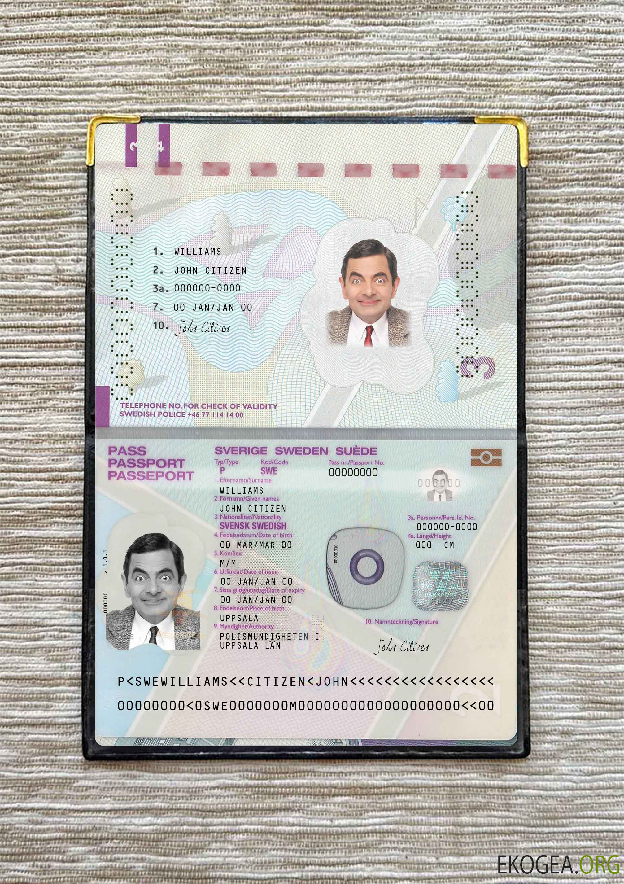 Look photo du passeport suédois version 2